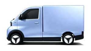 EEC L6e Electric Cargo D1