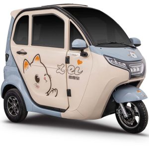 EEC Q6 Enclosed Electric Passenger Three-Wheeler