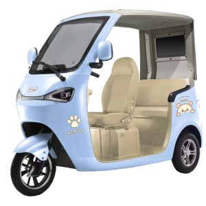 Dolphin Electric Passenger Three-Wheeler
